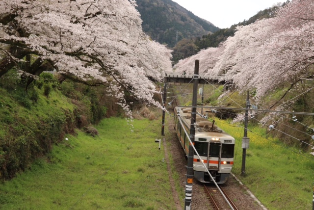 山北町鉄道